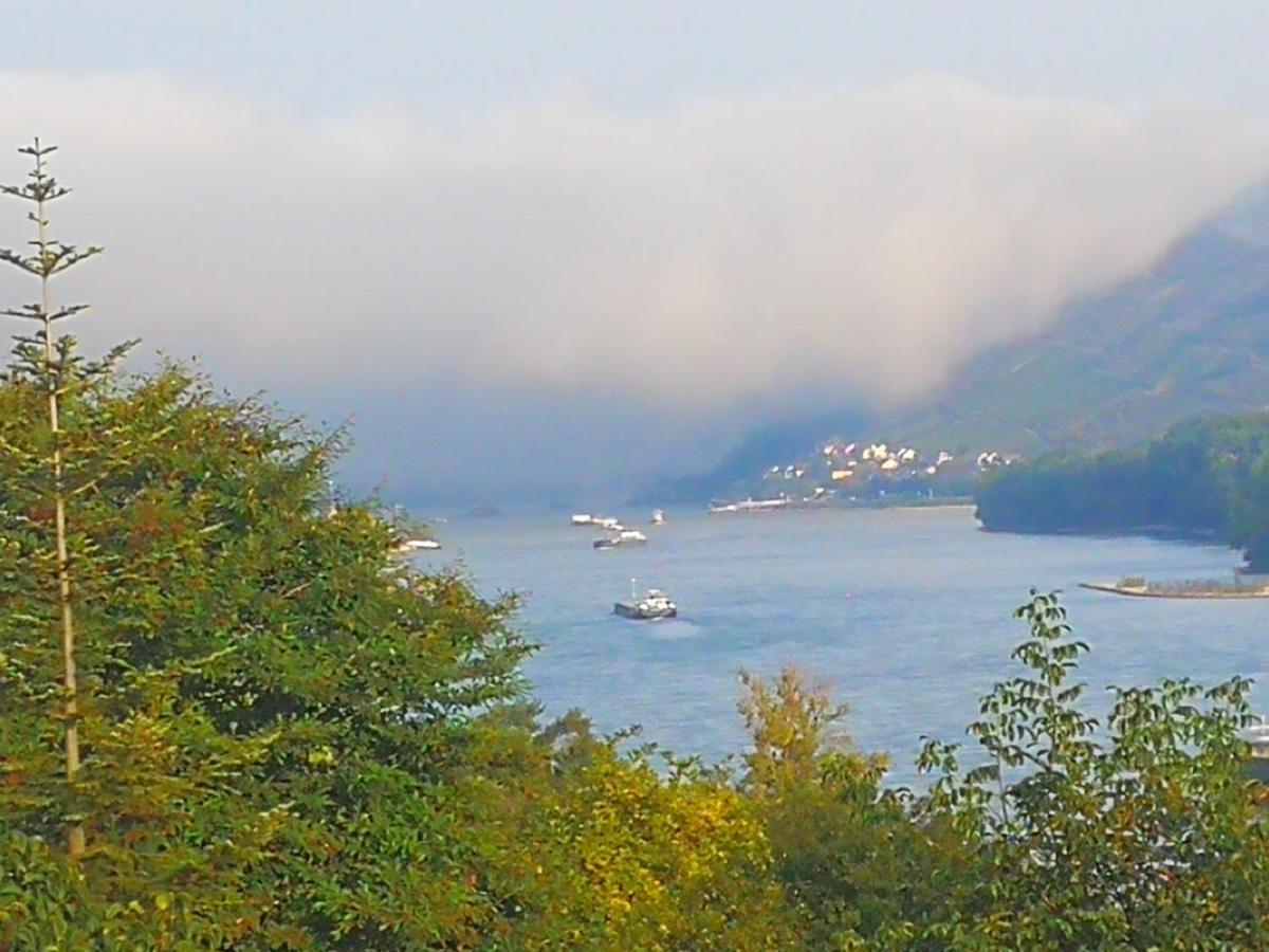 Wunderschoene Aussicht Garantiert Trechtingshausen Exterior photo