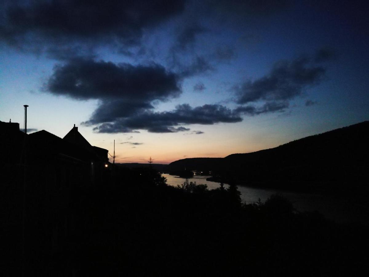Wunderschoene Aussicht Garantiert Trechtingshausen Exterior photo